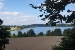 Den See fest im Blick.