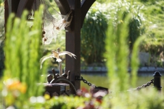 Der Heide-Park