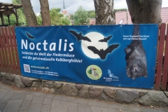 ...auf zum Noctalis!