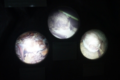 Die Ausstellung (2)