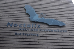 Noctalis! Welt der Fledermäuse