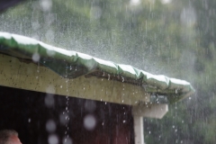 Auch im Erlebniswald herrschen sintflutartige Regenschauer