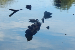 Entspannung in der Sonne