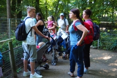 Die Buggyflotte macht halt.